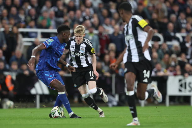 必然會是張 必然會是張